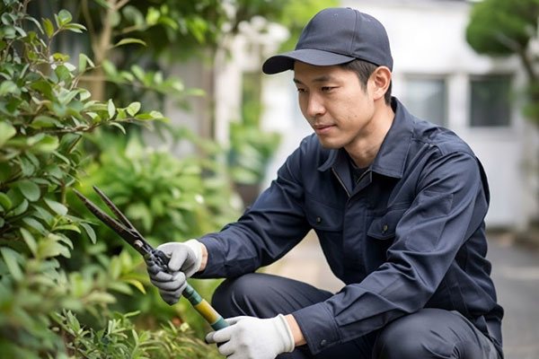 草刈り・庭木のお手入れ